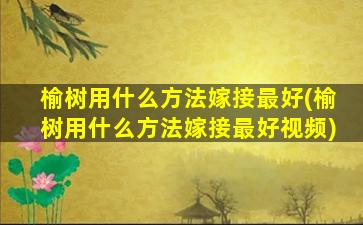 榆树用什么方法嫁接最好(榆树用什么方法嫁接最好视频)