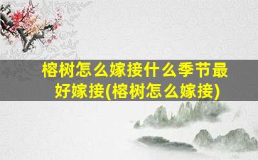 榕树怎么嫁接什么季节最好嫁接(榕树怎么嫁接)