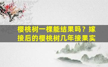 樱桃树一棵能结果吗？嫁接后的樱桃树几年接果实