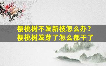 樱桃树不发新枝怎么办？樱桃树发芽了怎么都干了