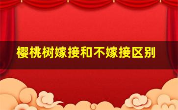 樱桃树嫁接和不嫁接区别