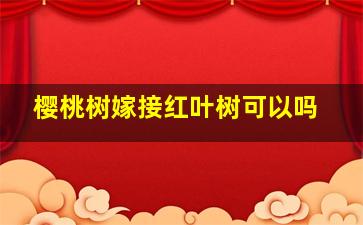 樱桃树嫁接红叶树可以吗