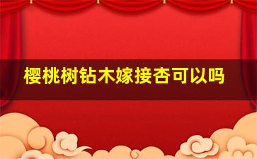 樱桃树钻木嫁接杏可以吗