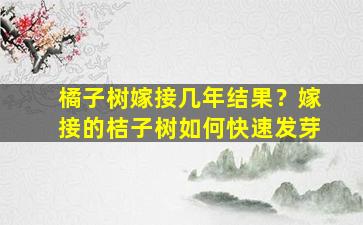 橘子树嫁接几年结果？嫁接的桔子树如何快速发芽