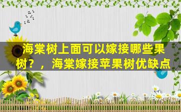 海棠树上面可以嫁接哪些果树？，海棠嫁接苹果树优缺点