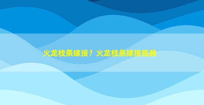 火龙枝条嫁接？火龙枝条嫁接视频