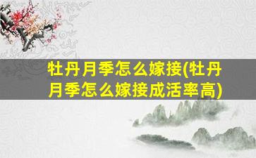 牡丹月季怎么嫁接(牡丹月季怎么嫁接成活率高)