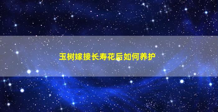 玉树嫁接长寿花后如何养护