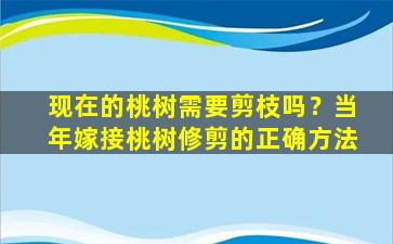 现在的桃树需要剪枝吗？当年嫁接桃树修剪的正确方法