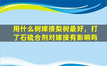 用什么树嫁接梨树最好，打了石硫合剂对嫁接有影响吗