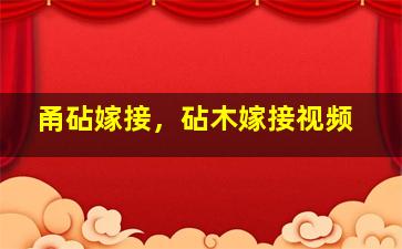 甬砧嫁接，砧木嫁接视频