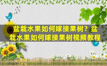 盆栽水果如何嫁接果树？盆栽水果如何嫁接果树视频教程