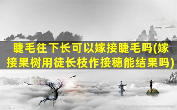 睫毛往下长可以嫁接睫毛吗(嫁接果树用徒长枝作接穗能结果吗)