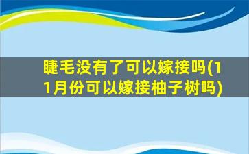 睫毛没有了可以嫁接吗(11月份可以嫁接柚子树吗)