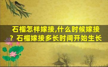 石榴怎样嫁接,什么时候嫁接？石榴嫁接多长时间开始生长