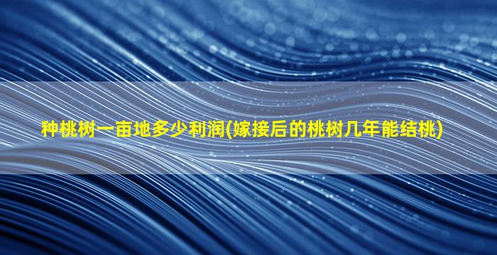 种桃树一亩地多少利润(嫁接后的桃树几年能结桃)