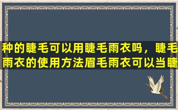 种的睫毛可以用睫毛雨衣吗，睫毛雨衣的使用方法眉毛雨衣可以当睫毛雨衣吗