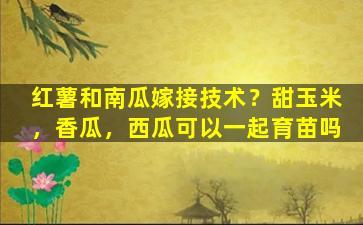 红薯和南瓜嫁接技术？甜玉米，香瓜，西瓜可以一起育苗吗