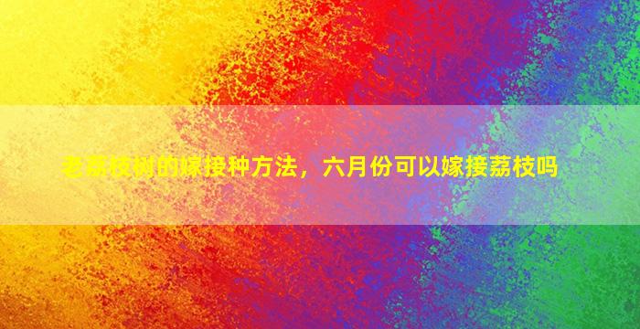 老荔枝树的嫁接种方法，六月份可以嫁接荔枝吗