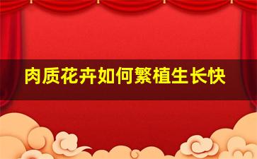 肉质花卉如何繁植生长快