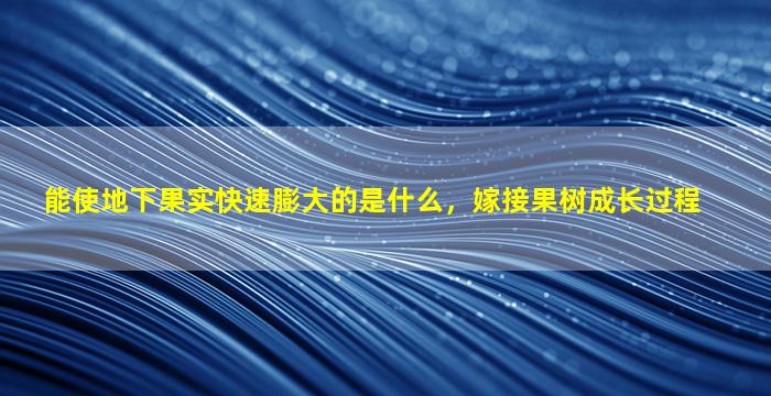 能使地下果实快速膨大的是什么，嫁接果树成长过程