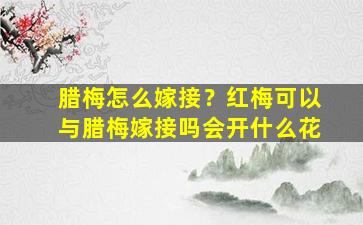 腊梅怎么嫁接？红梅可以与腊梅嫁接吗会开什么花