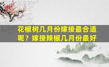 花椒树几月份嫁接最合适呢？嫁接辣椒几月份最好