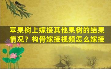 苹果树上嫁接其他果树的结果情况？构骨嫁接视频怎么嫁接