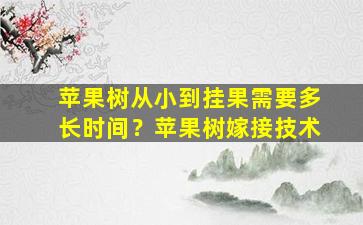 苹果树从小到挂果需要多长时间？苹果树嫁接技术