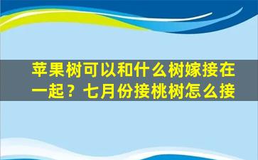 苹果树可以和什么树嫁接在一起？七月份接桃树怎么接