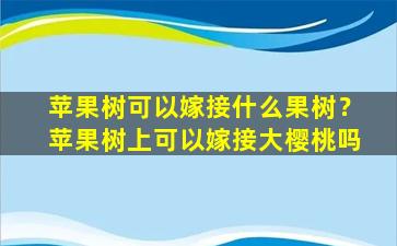 苹果树可以嫁接什么果树？苹果树上可以嫁接大樱桃吗