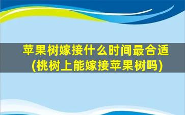 苹果树嫁接什么时间最合适(桃树上能嫁接苹果树吗)