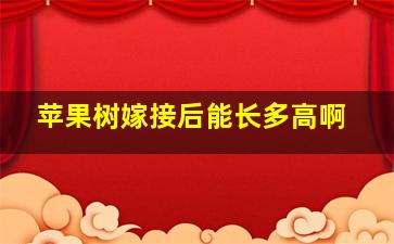 苹果树嫁接后能长多高啊