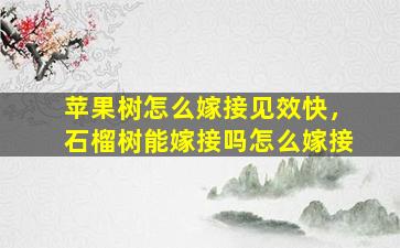 苹果树怎么嫁接见效快，石榴树能嫁接吗怎么嫁接