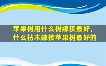 苹果树用什么树嫁接最好，什么枮木嫁接苹果树最好的