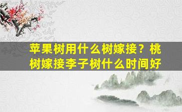 苹果树用什么树嫁接？桃树嫁接李子树什么时间好