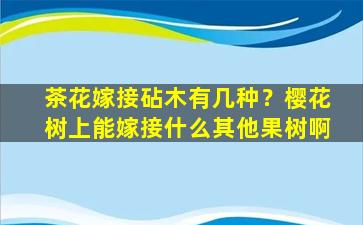 茶花嫁接砧木有几种？樱花树上能嫁接什么其他果树啊