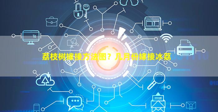 荔枝树嫁接方法图？几月份嫁接冰荔