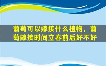 葡萄可以嫁接什么植物，葡萄嫁接时间立春前后好不好