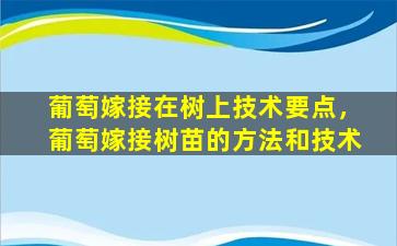 葡萄嫁接在树上技术要点，葡萄嫁接树苗的方法和技术