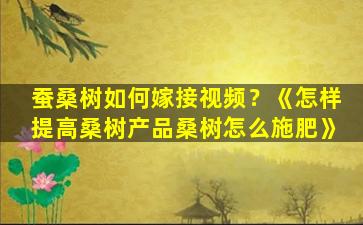 蚕桑树如何嫁接视频？《怎样提高桑树产品桑树怎么施肥》