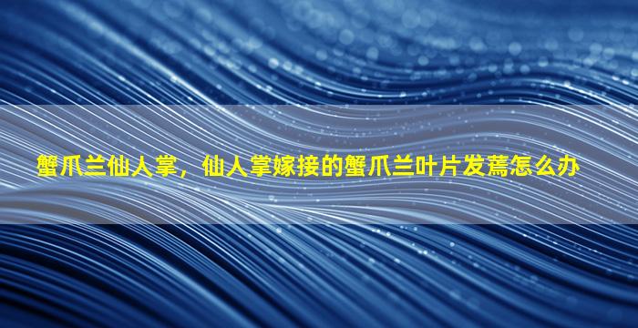 蟹爪兰仙人掌，仙人掌嫁接的蟹爪兰叶片发蔫怎么办