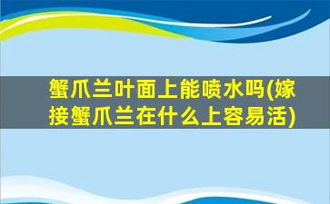 蟹爪兰叶面上能喷水吗(嫁接蟹爪兰在什么上容易活)