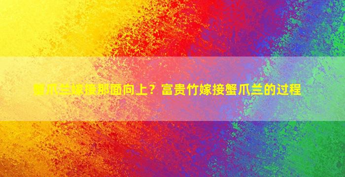 蟹爪兰嫁接那面向上？富贵竹嫁接蟹爪兰的过程