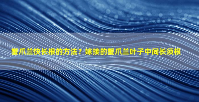 蟹爪兰快长根的方法？嫁接的蟹爪兰叶子中间长须根