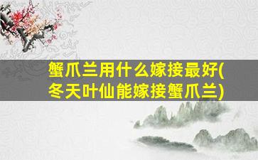 蟹爪兰用什么嫁接最好(冬天叶仙能嫁接蟹爪兰)