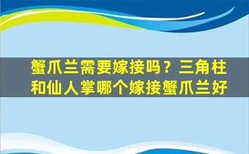 蟹爪兰需要嫁接吗？三角柱和仙人掌哪个嫁接蟹爪兰好