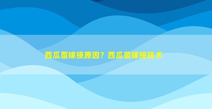 西瓜苗嫁接原因？西瓜苗嫁接技术