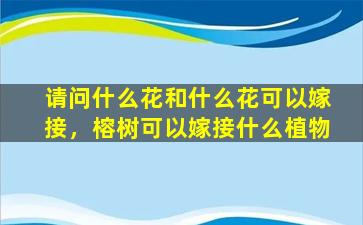 请问什么花和什么花可以嫁接，榕树可以嫁接什么植物