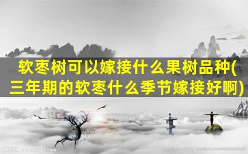 软枣树可以嫁接什么果树品种(三年期的软枣什么季节嫁接好啊)